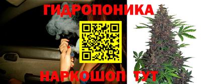 ешки Нарткала